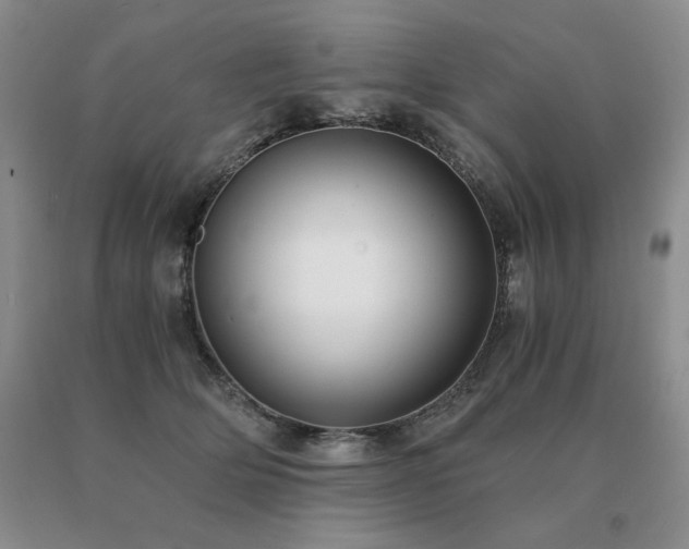 X0000091060514200708061244