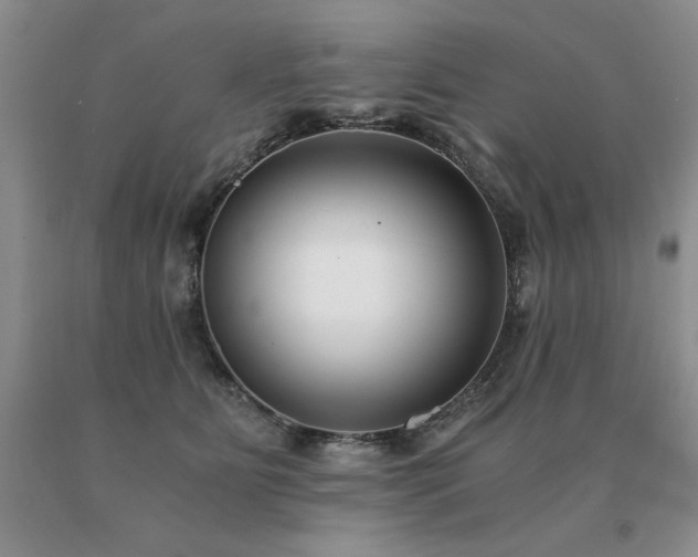 X0000091060515200708061244
