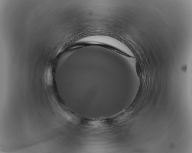 X0000091060516200708061244