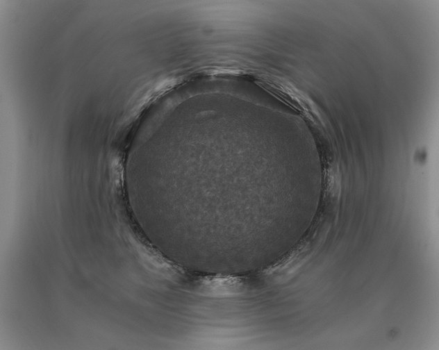 X0000091060517200708061244