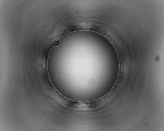 X0000091060518200708061244
