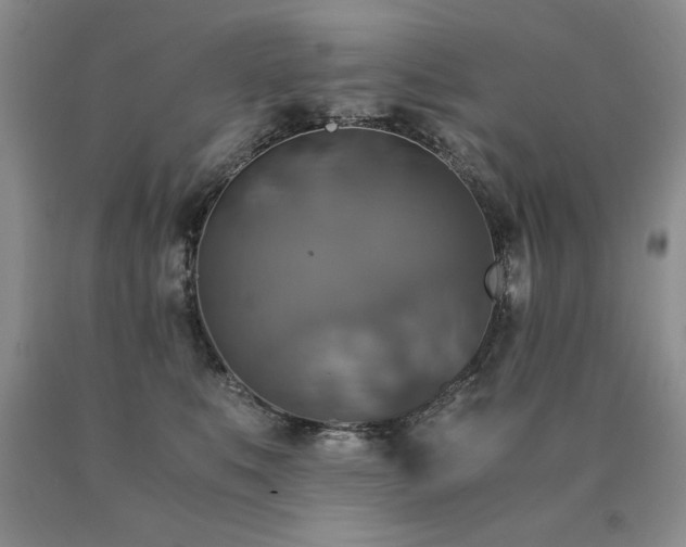 X0000091060519200708061244