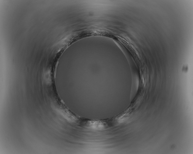 X0000091060520200708061244