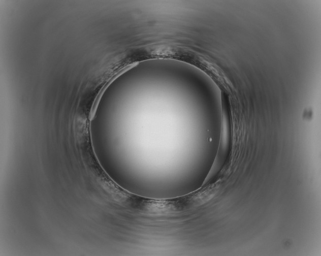 X0000091060521200708061244