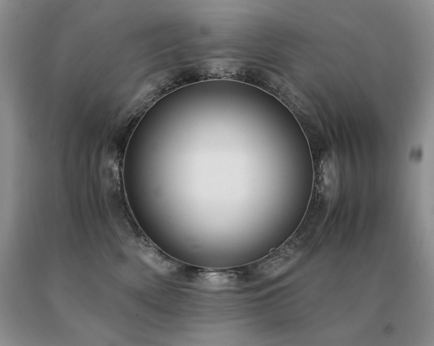 X0000091060522200708061244