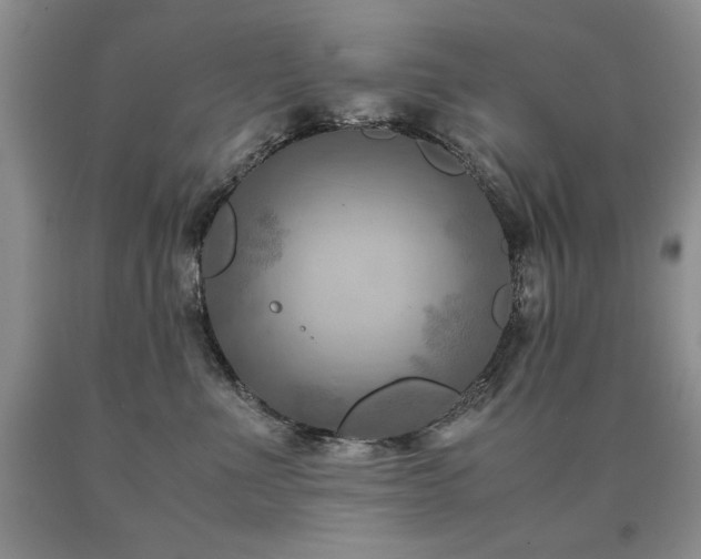 X0000091060523200708061244
