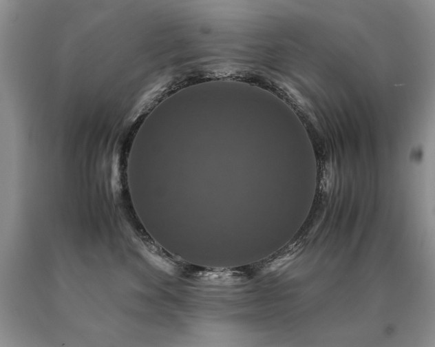 X0000091060524200708061244