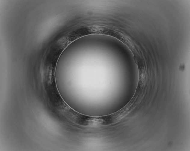 X0000091060525200708061244