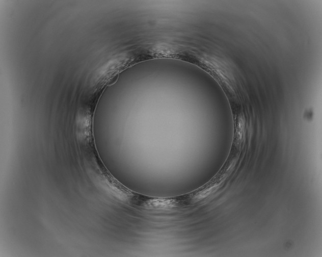 X0000091060526200708061244