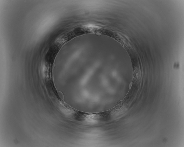 X0000091060527200708061244
