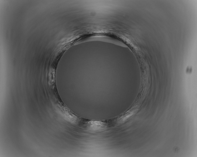 X0000091060528200708061244