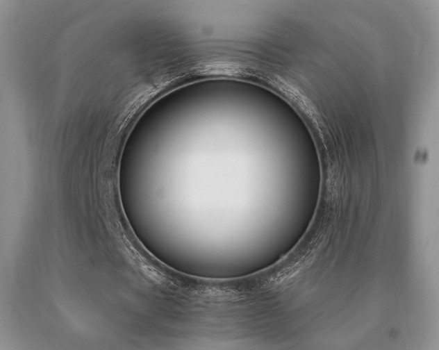 X0000091060529200708061244