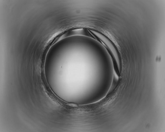 X0000091060530200708061244