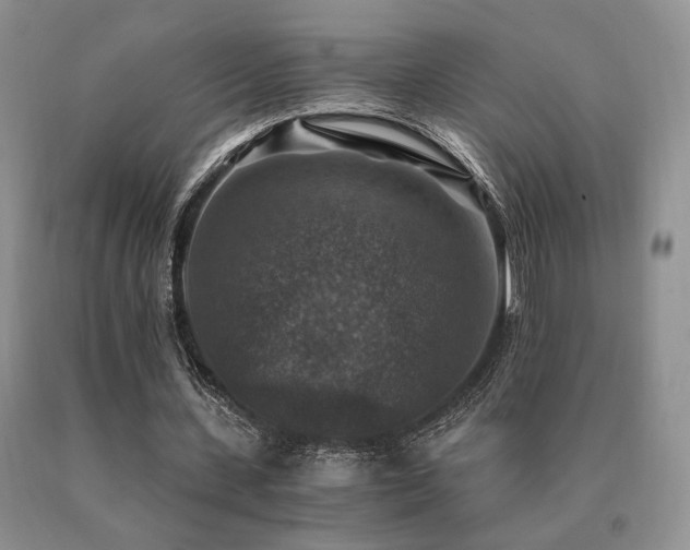 X0000091060531200708061244
