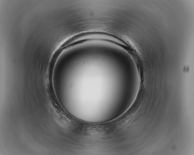 X0000091060532200708061244