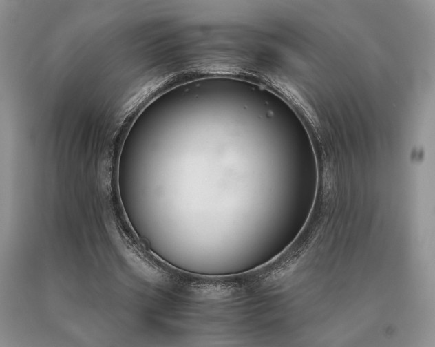X0000091060533200708061244