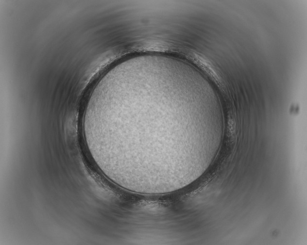 X0000091060534200708061244