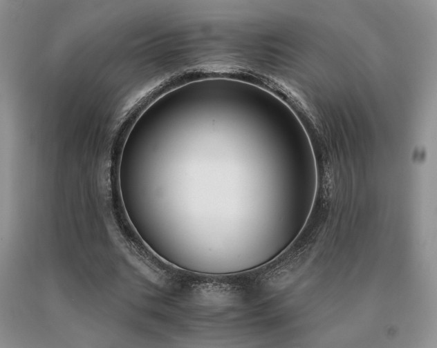X0000091060535200708061244