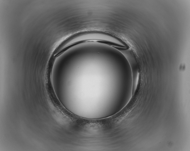 X0000091060536200708061244