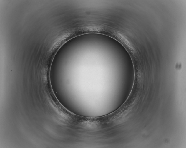 X0000091060537200708061244