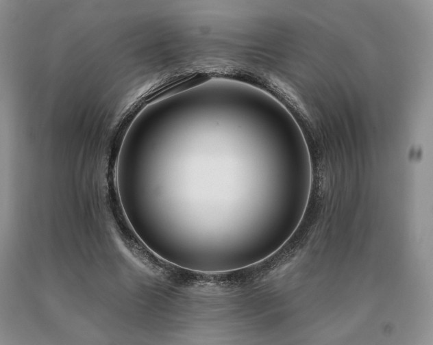 X0000091060538200708061244