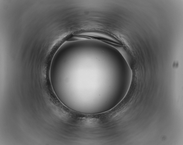 X0000091060539200708061244