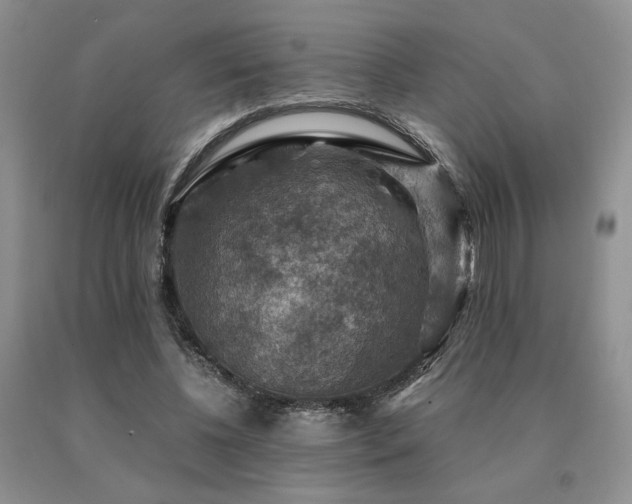 X0000091060540200708061244