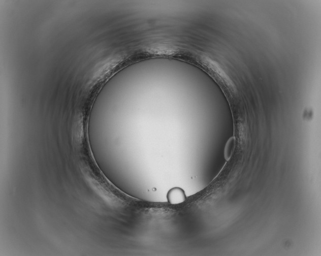 X0000091060541200708061244