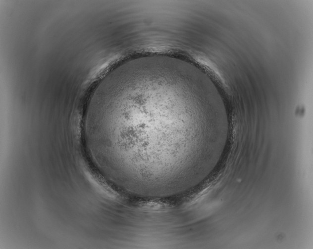 X0000091060542200708061244