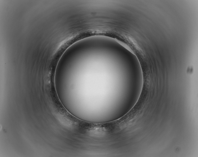 X0000091060543200708061244