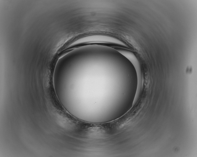 X0000091060544200708061244