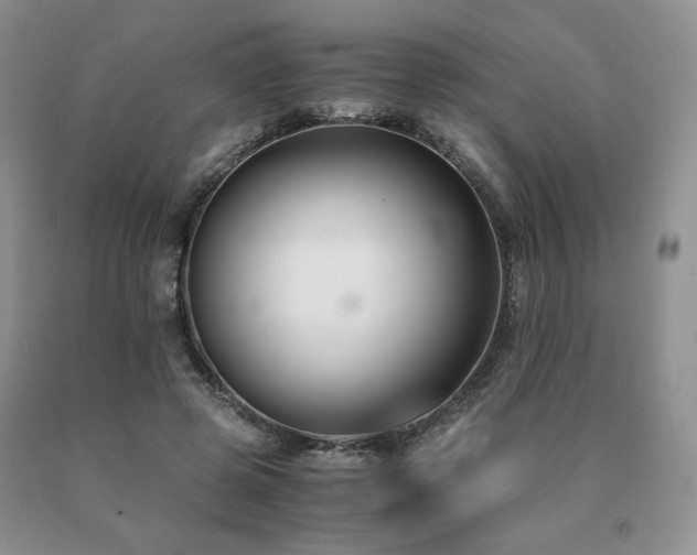 X0000091060545200708061244