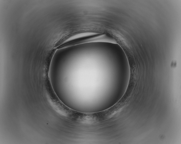 X0000091060546200708061244