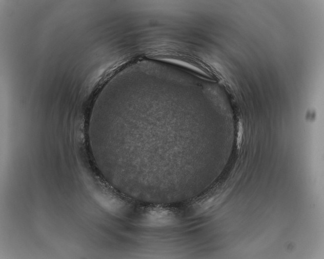 X0000091060547200708061244