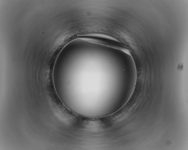 X0000091060548200708061244