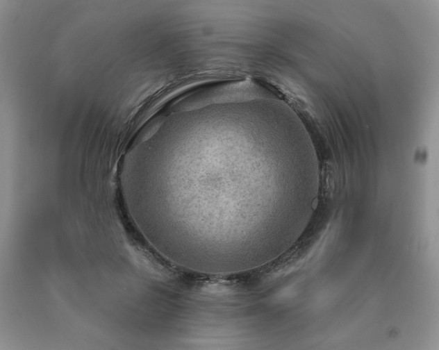 X0000091060550200708061244