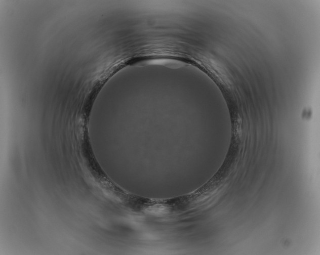 X0000091060551200708061244