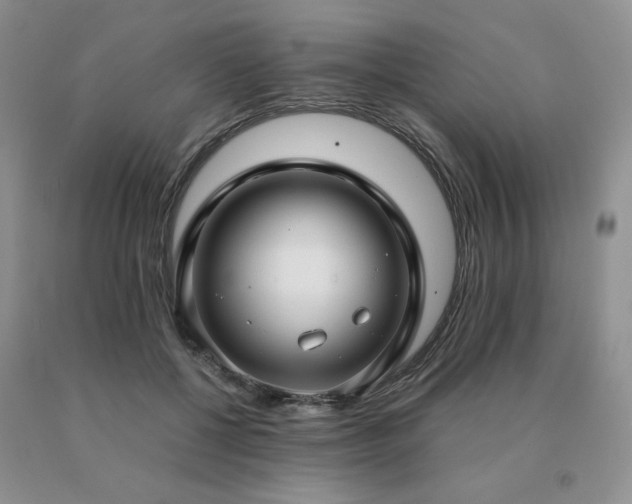 X0000091060552200708061244
