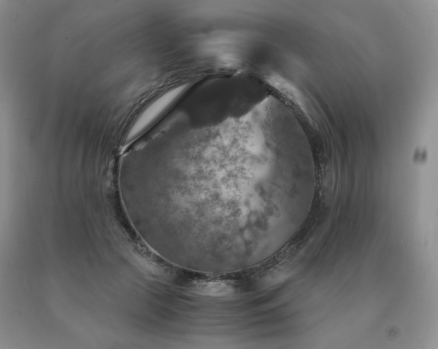 X0000091060553200708061244