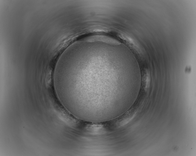 X0000091060554200708061244