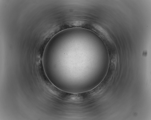 X0000091060555200708061244