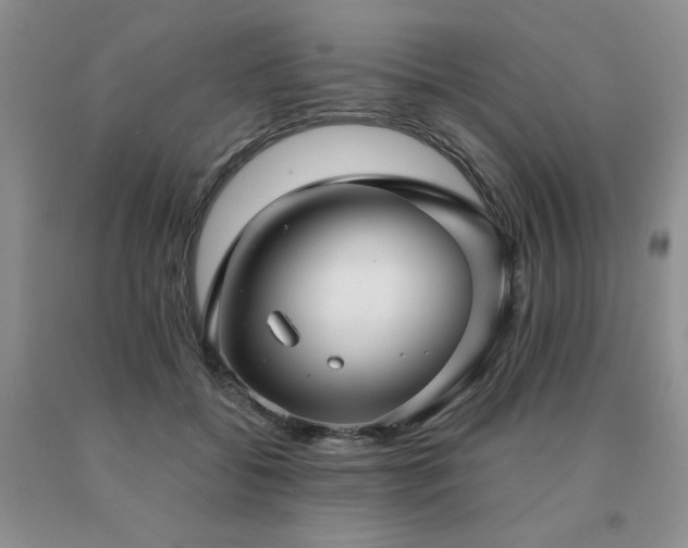 X0000091060556200708061244
