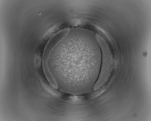 X0000091060558200708061244