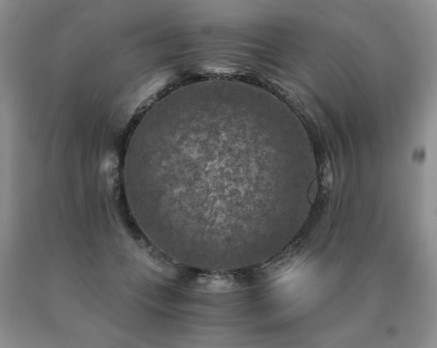 X0000091060559200708061244