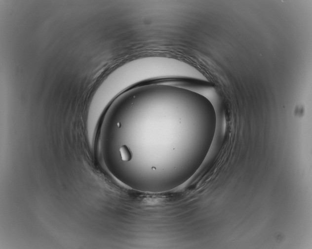 X0000091060560200708061244