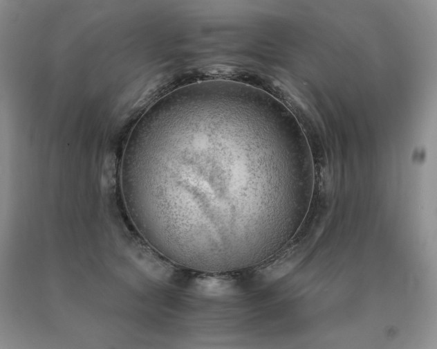 X0000091060561200708061244