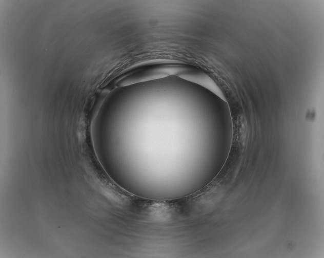 X0000091060562200708061244