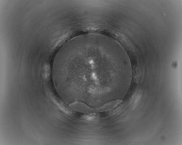 X0000091060563200708061244