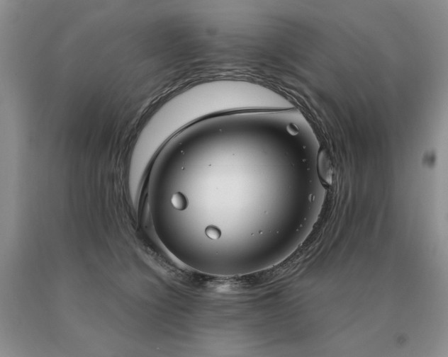 X0000091060564200708061244