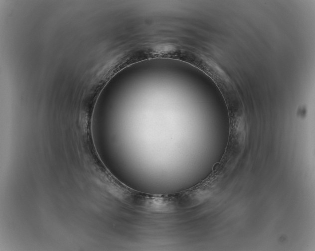 X0000091060565200708061244